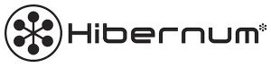 Deep Silver FISHLABS Signs Deal with Hibernum for Unannounced Mobile Game