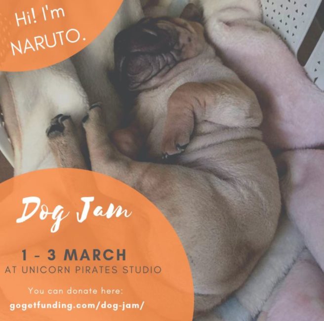 Unicorn Pirates Studio Needs Your Support to Help Rescue Dogs with DOG JAM March 1-3