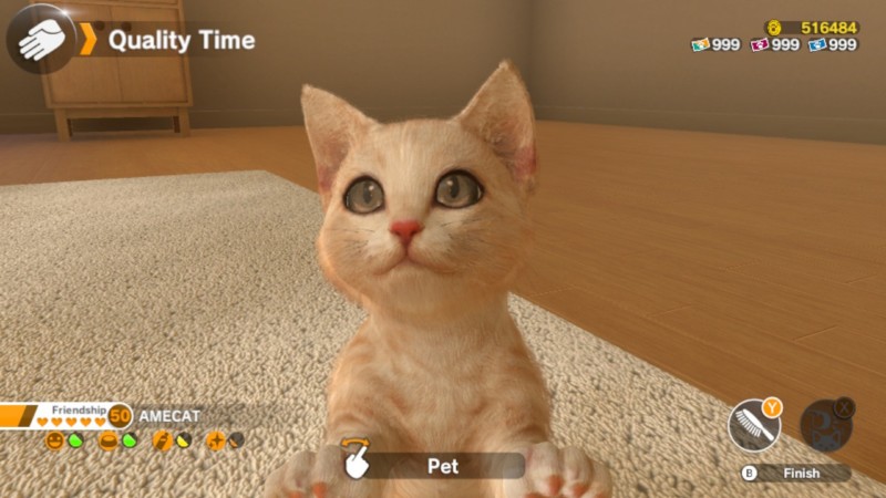 LITTLE FRIENDS: Dogs & Cats Nintendo Switch Pet Sim Launches May 28