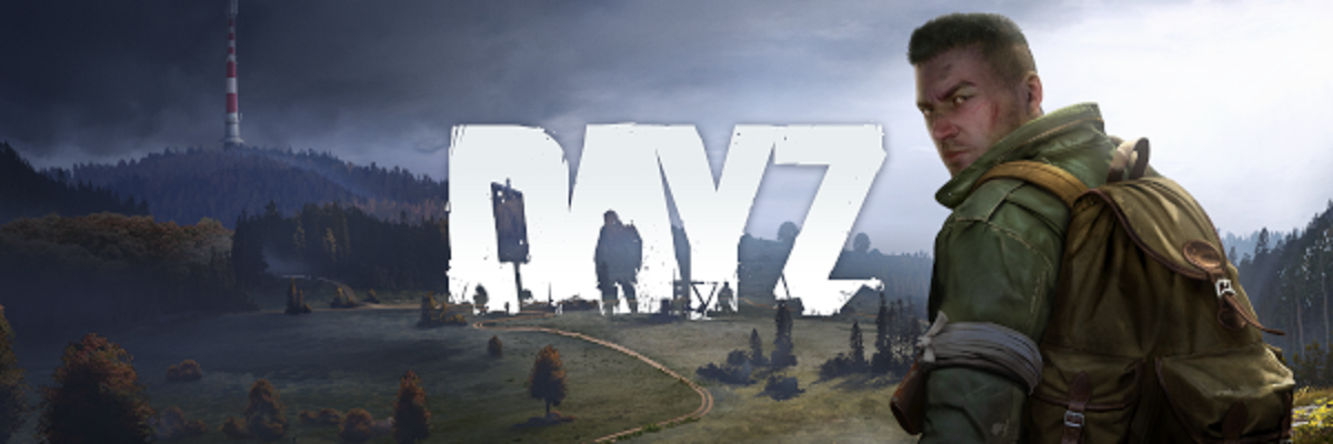 Your world dayz pve. DAYZ шапка. Баннер дейз. DAYZ обложка. DAYZ панорама.