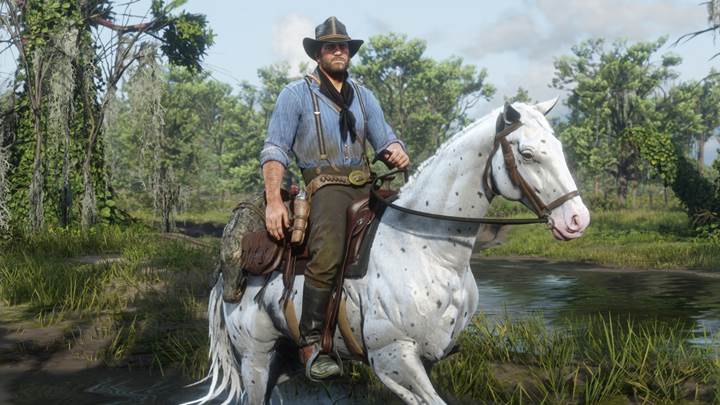 Red Dead Redemption 2 Review for PC