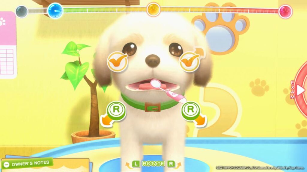 Pups & Purrs Animal Hospital Review for Nintendo Switch