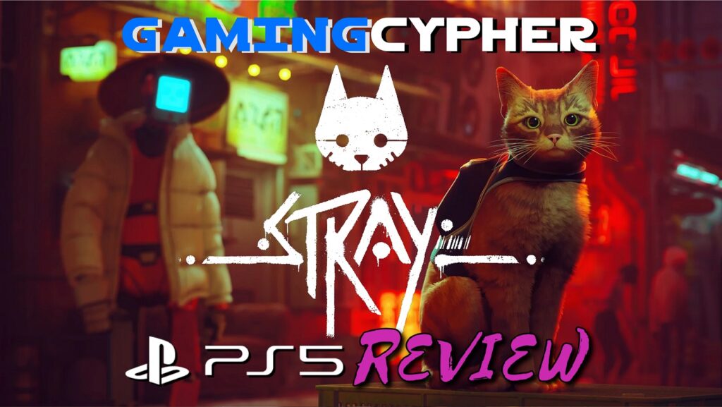STRAY Review for PlayStation 5