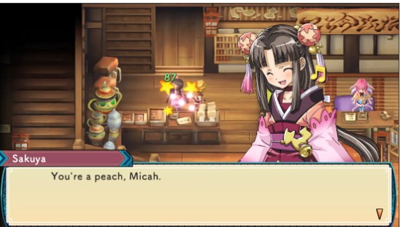 Rune Factory 3 Special Review for Steam