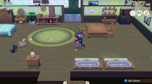 STORY OF SEASONS: Grand Bazaar Preview for Steam