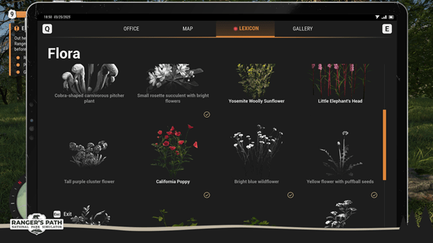 Ranger's Path: National Park Simulator Review for Steam Early Access